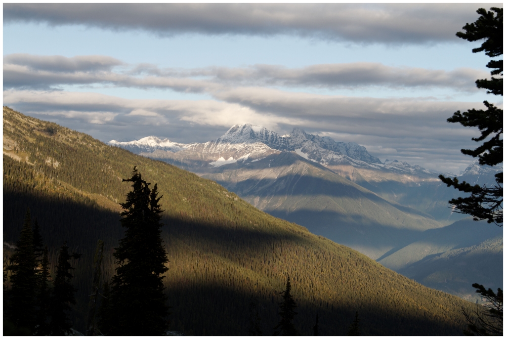 10 - Mont Revelstoke NP (1).jpg